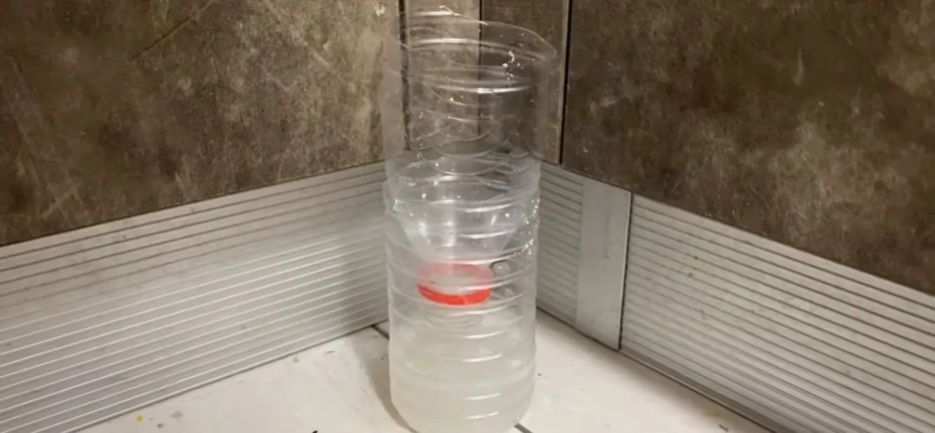 洗碗精滅蟑法