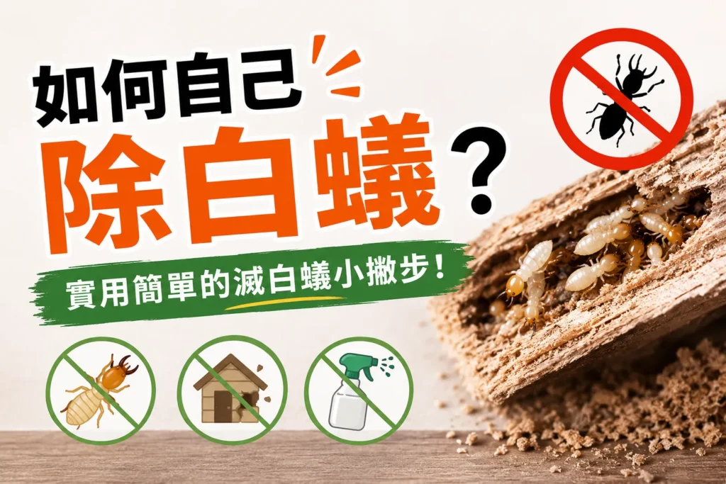 除白蟻