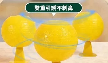 誘蠅球
