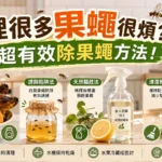 如何有效消除果蠅
