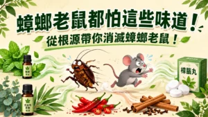 蟑螂老鼠都怕這些味道！