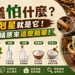 白蟻剋星