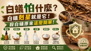 白蟻剋星